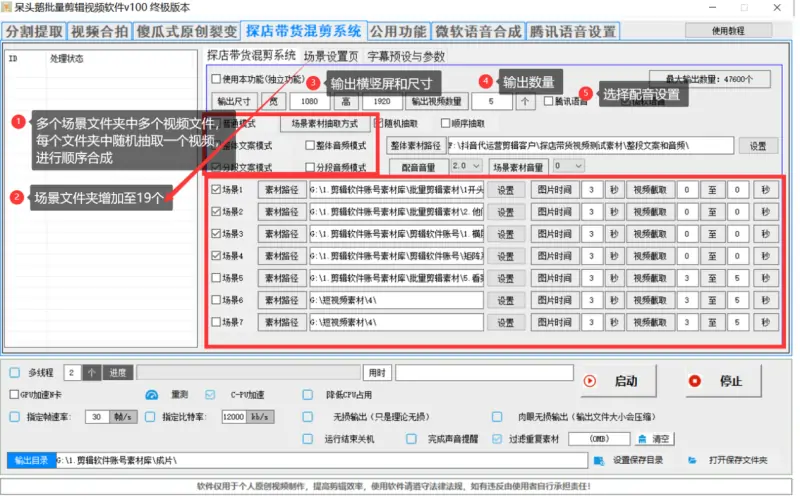 呆头鹅剪辑视频V100终极版