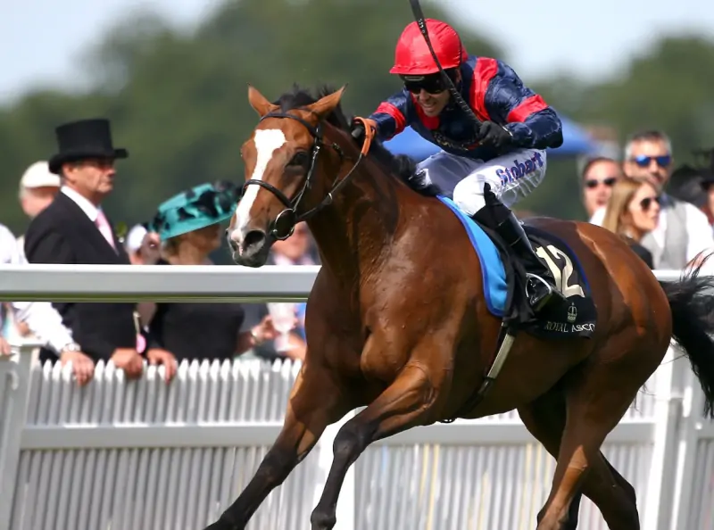 奇点娱乐-飞艇赛马